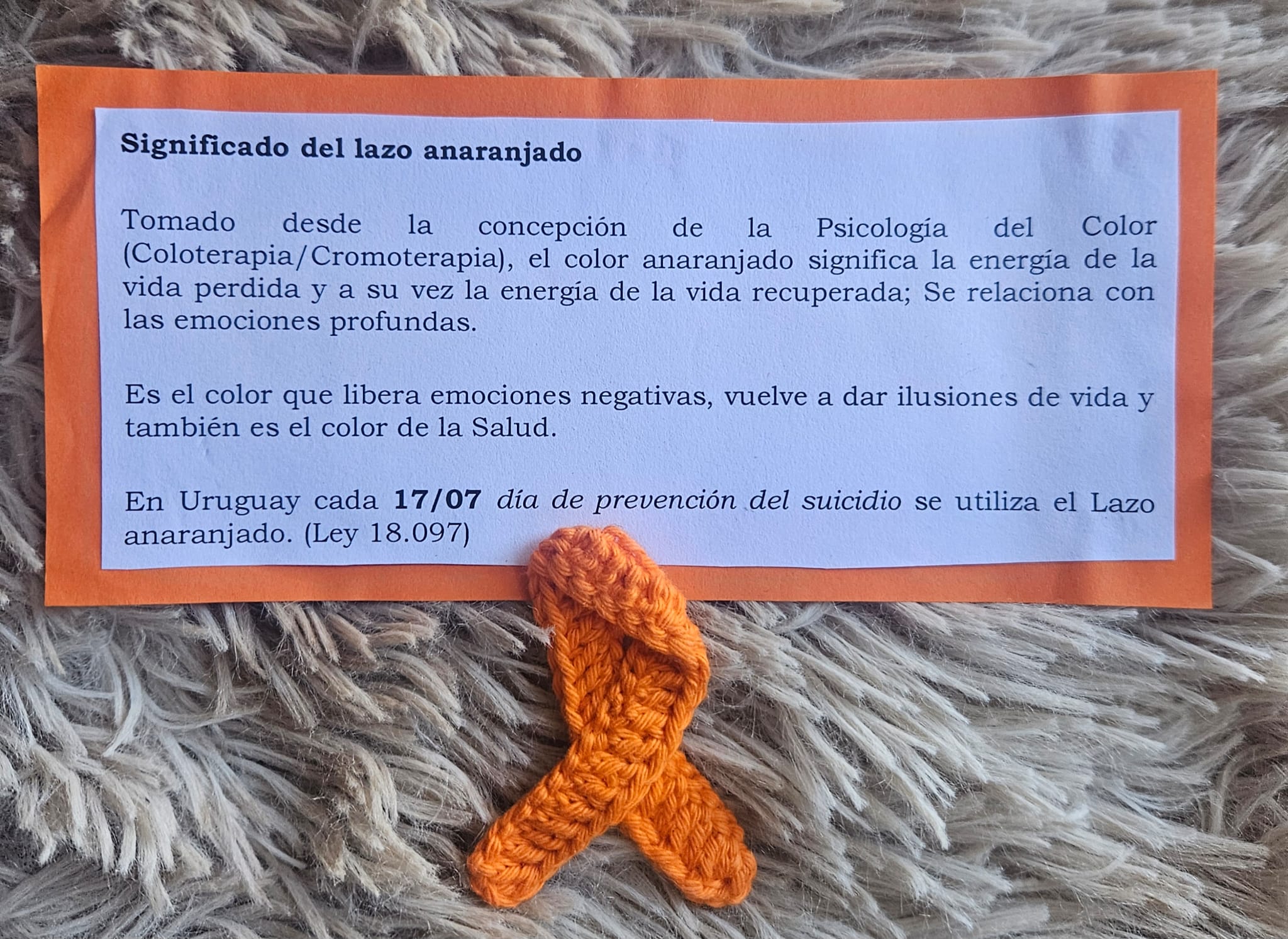 Lazo Anaranjado Uruguay Ley 18.097